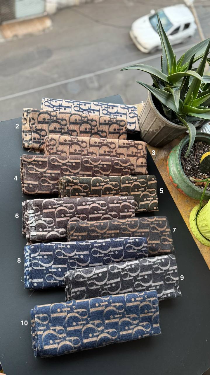 photo_13_2025-11-10_02-46-49