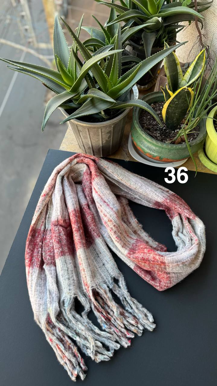 photo_13_2025-11-19_16-44-23