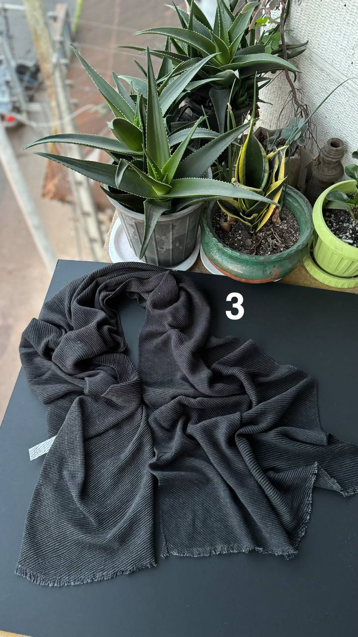 photo_13_2025-11-25_06-51-36