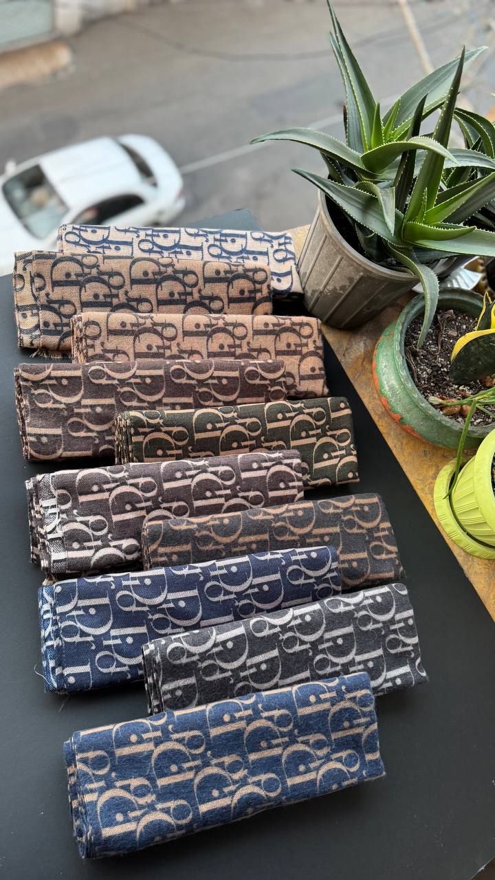 photo_14_2025-11-10_02-46-49