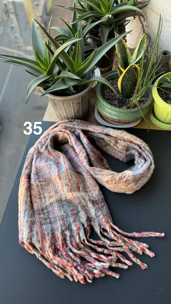 photo_14_2025-11-19_16-44-23