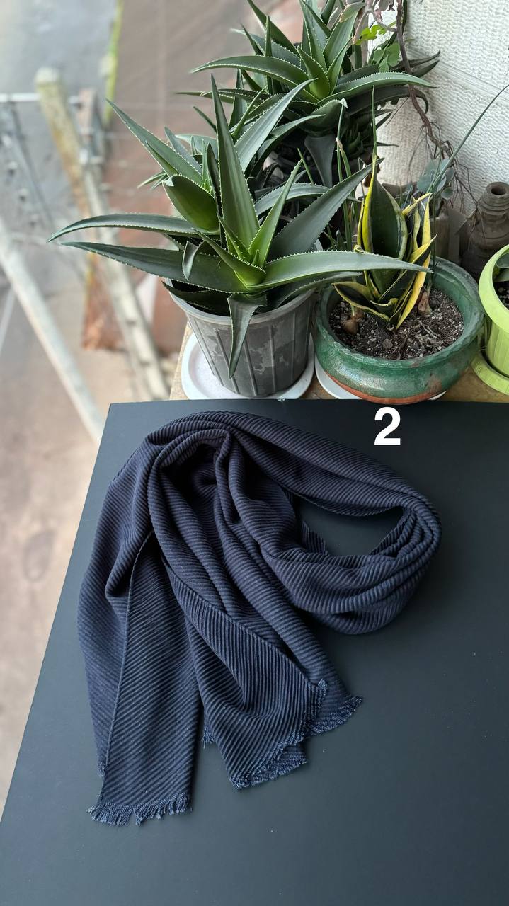 photo_14_2025-11-25_06-51-36