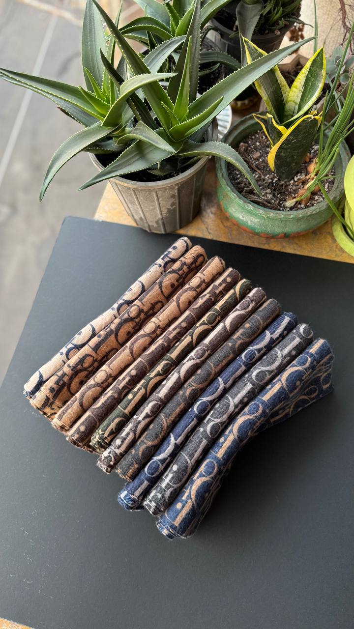 photo_15_2025-11-10_02-46-49