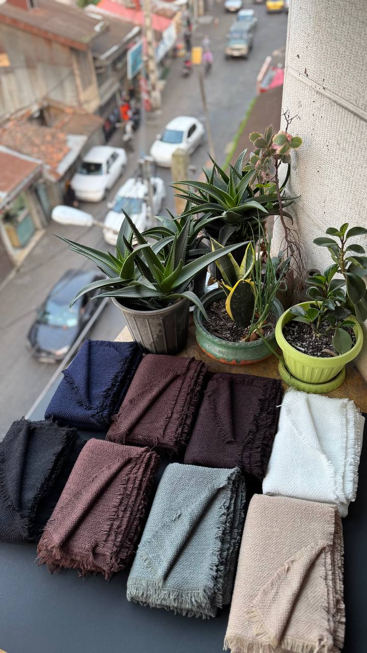 photo_15_2025-11-10_16-39-42