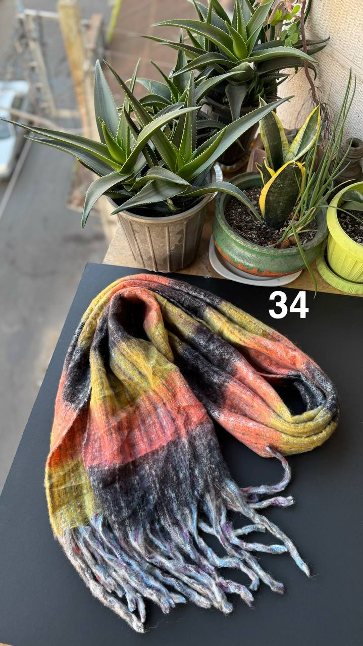 photo_15_2025-11-19_16-44-23