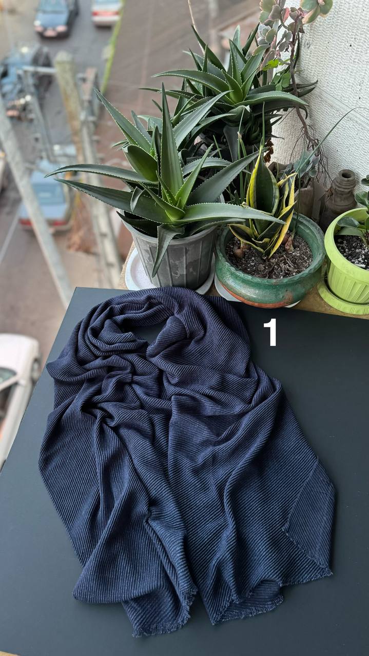 photo_15_2025-11-25_06-51-36