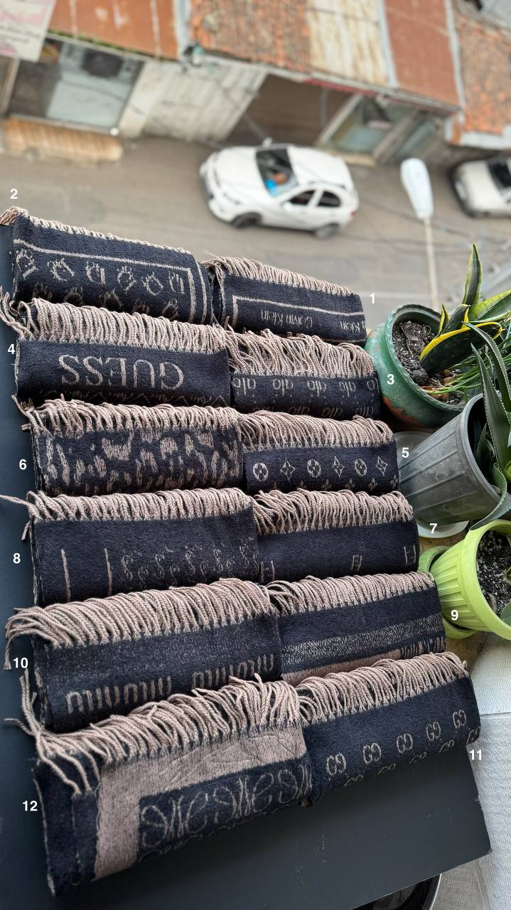 photo_16_2025-11-06_14-08-40