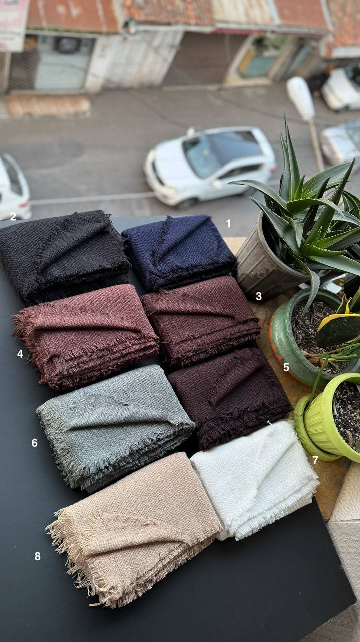 photo_16_2025-11-10_16-39-42