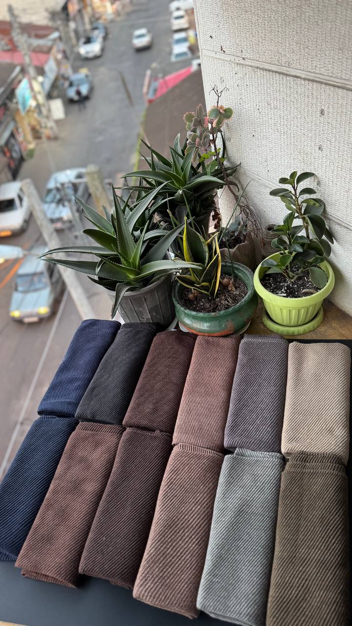 photo_16_2025-11-25_06-51-36