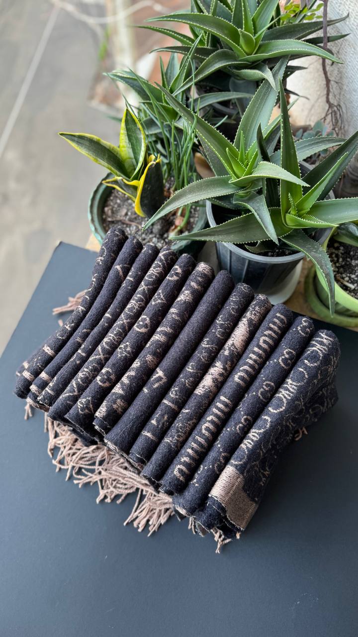 photo_17_2025-11-06_14-08-40