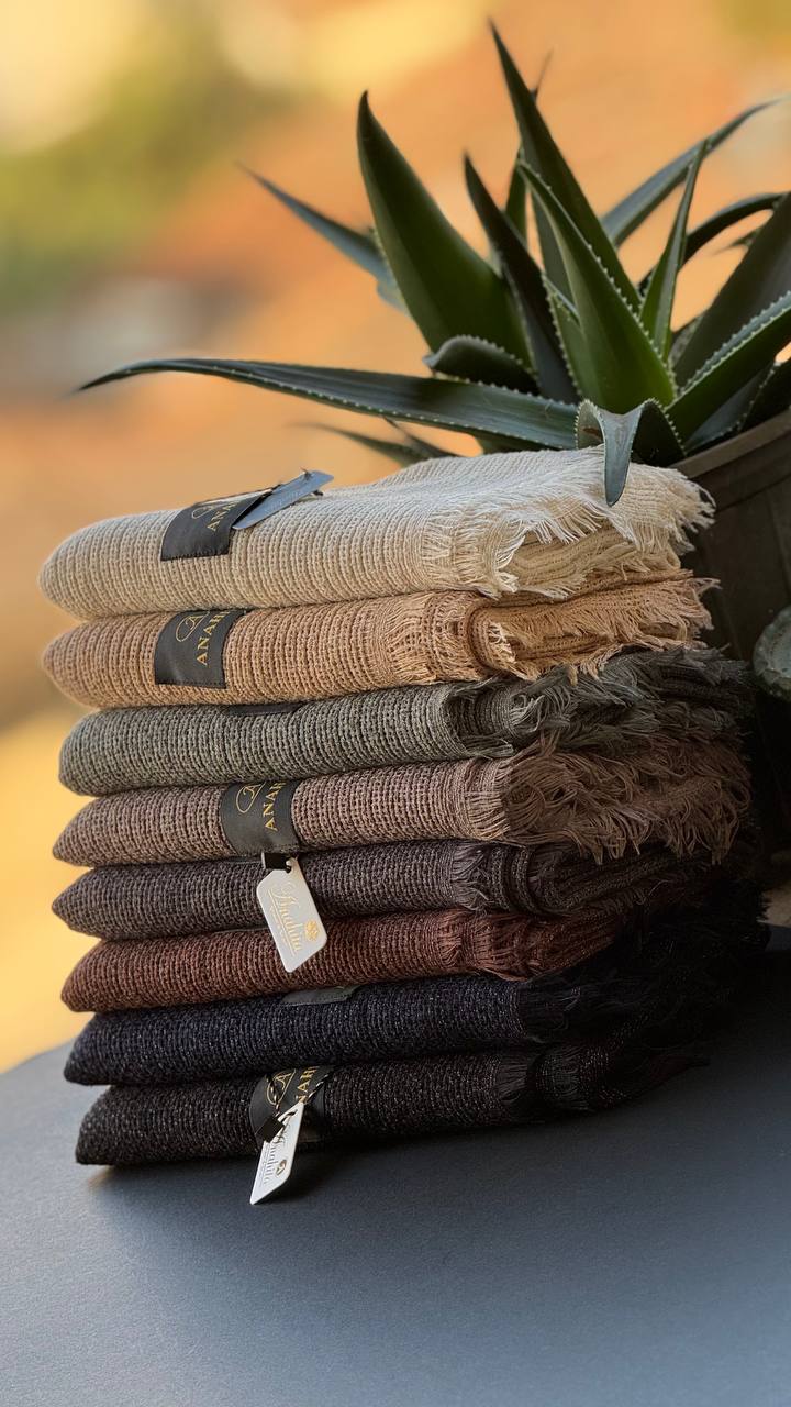 photo_17_2025-11-07_15-21-19