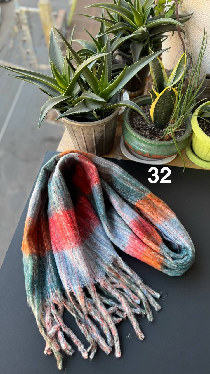 photo_17_2025-11-19_16-44-23