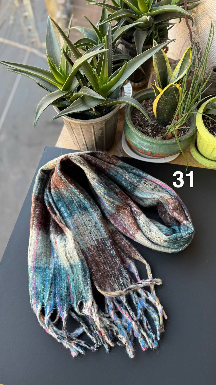 photo_18_2025-11-19_16-44-23