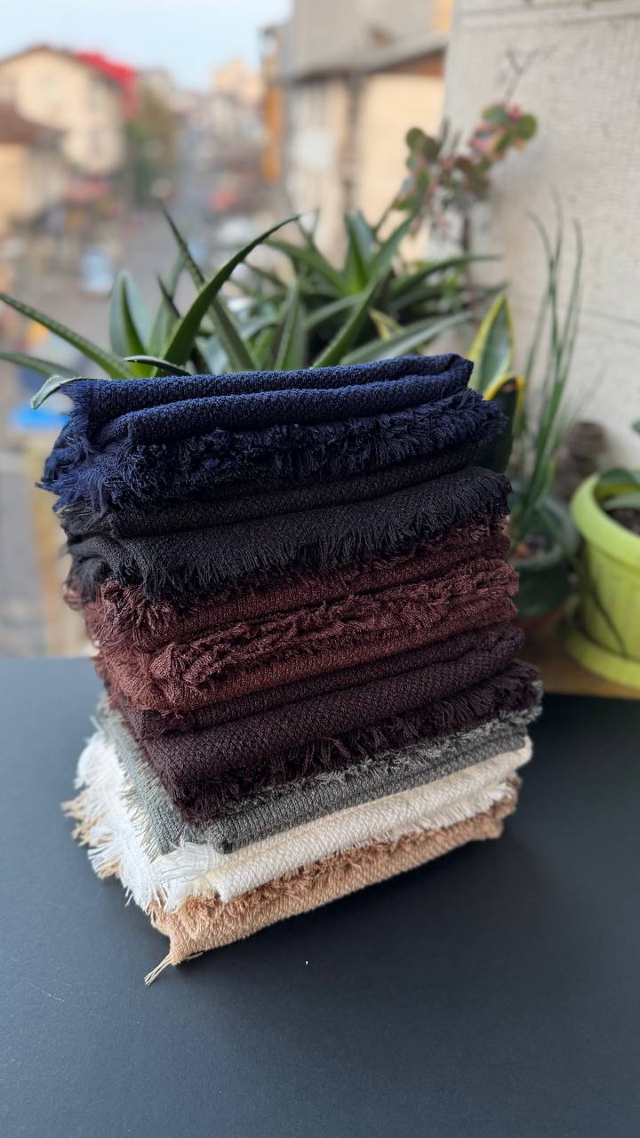 photo_19_2025-11-10_16-39-42