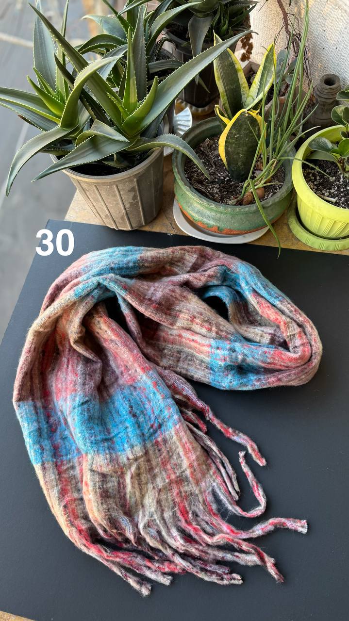 photo_19_2025-11-19_16-44-23