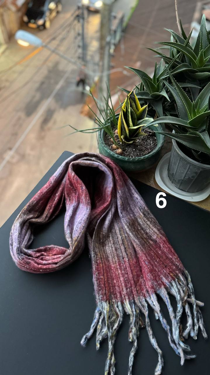 photo_1_2025-11-01_13-50-43