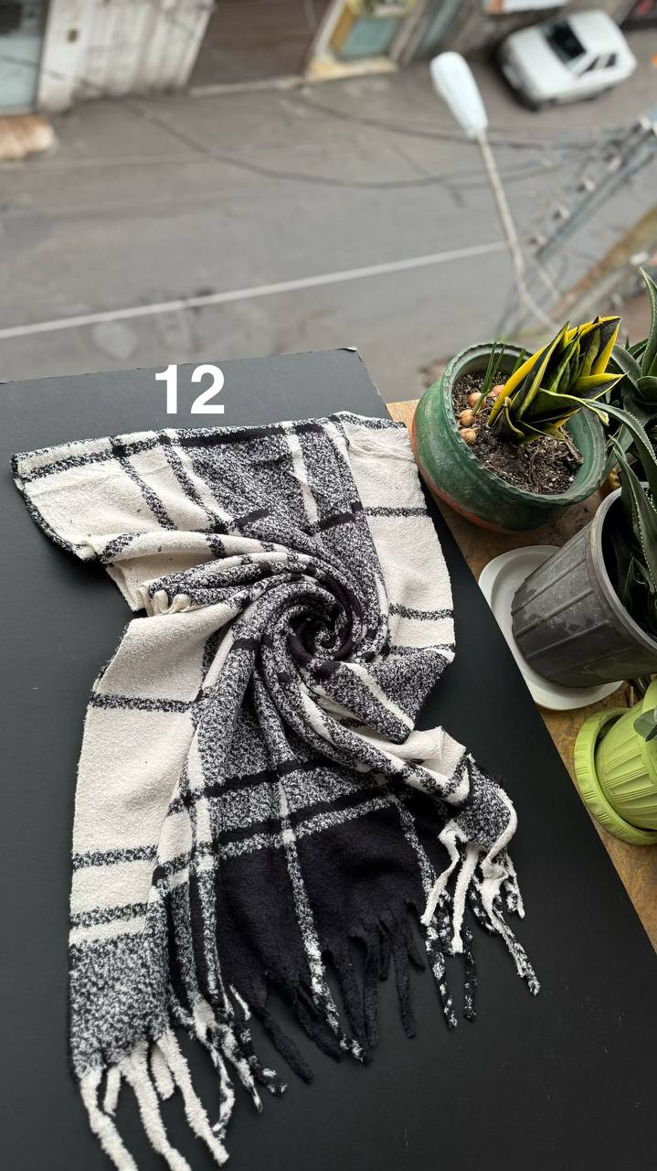 photo_1_2025-11-06_14-44-39