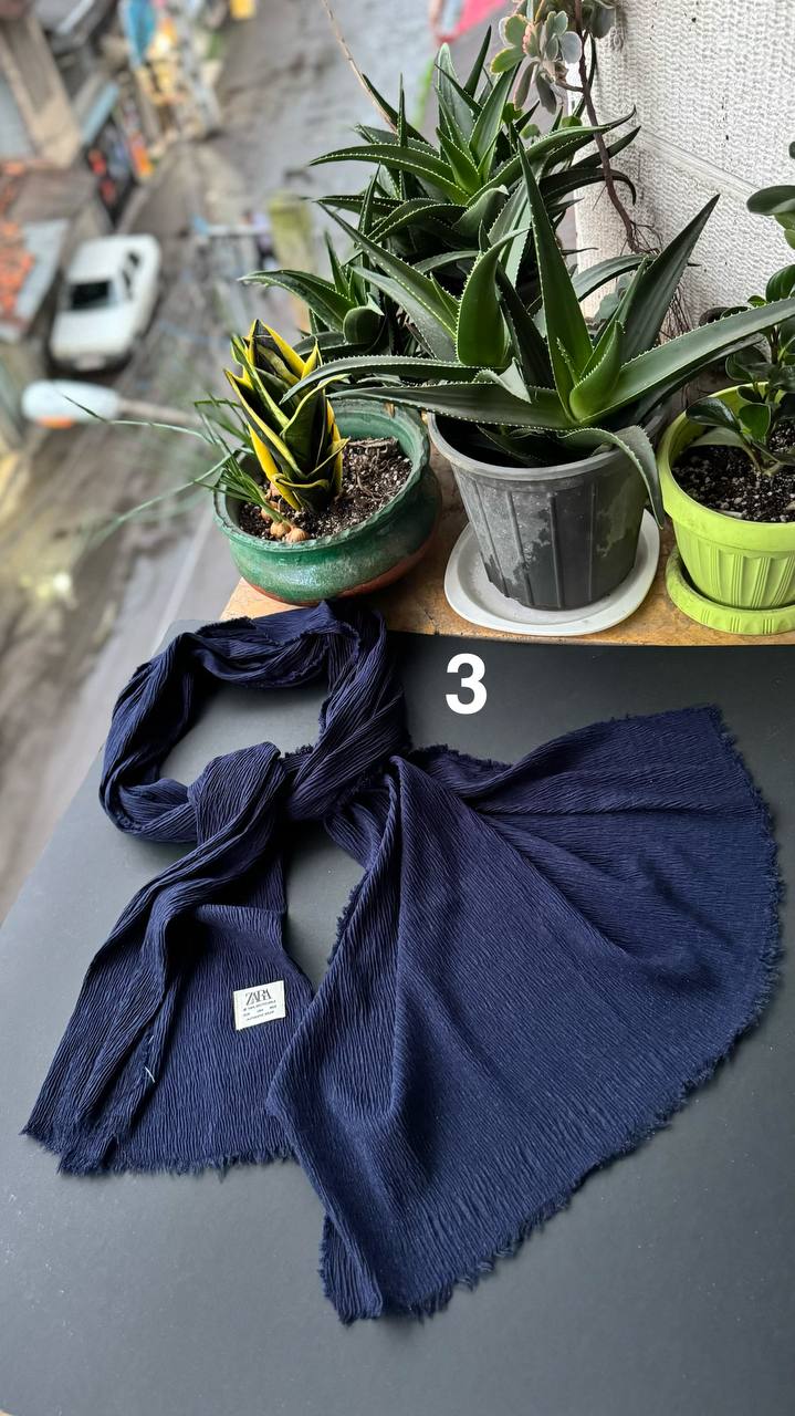 photo_1_2025-11-09_04-23-59