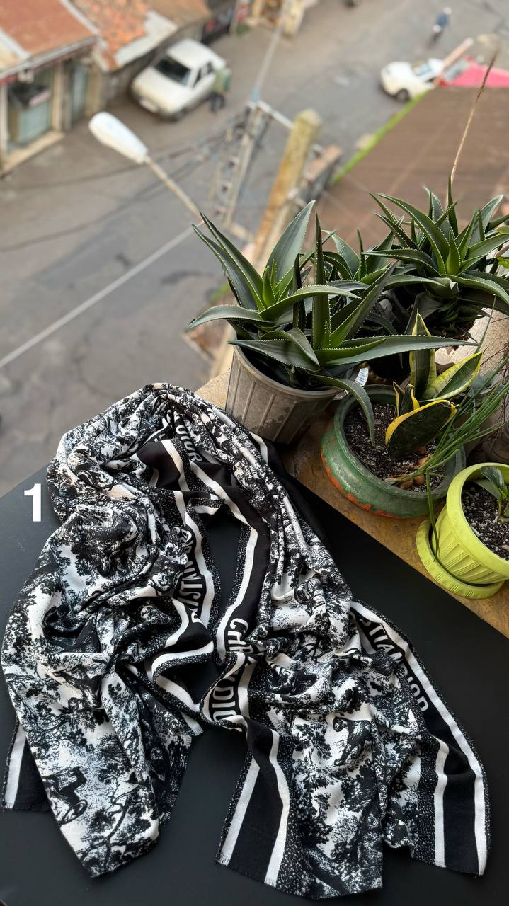 photo_1_2025-11-09_16-30-57