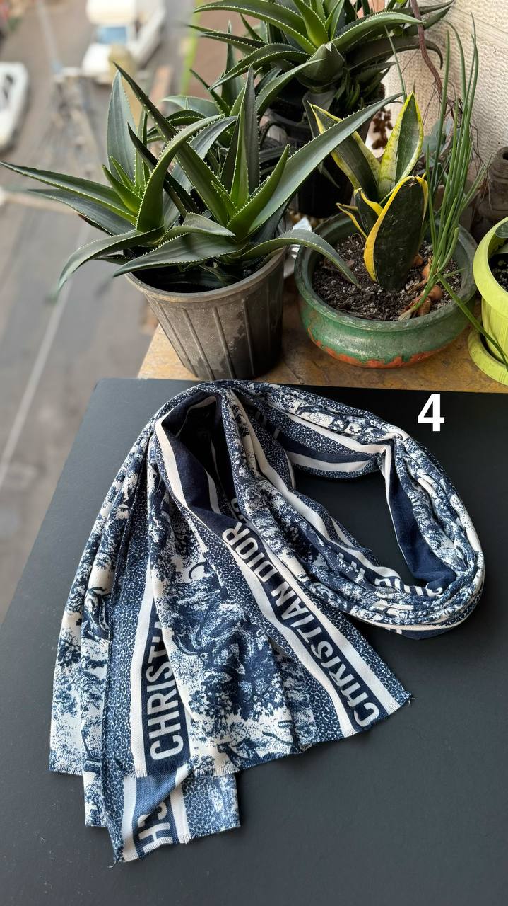 photo_1_2025-11-09_16-34-37