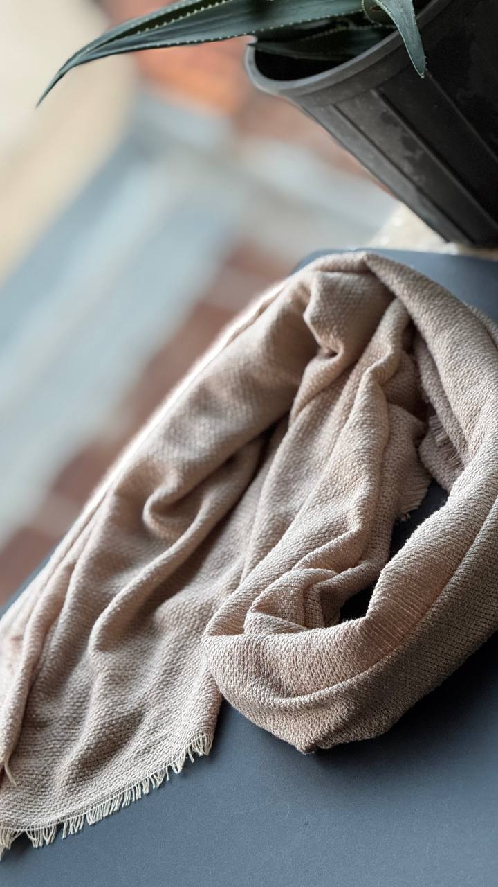 photo_1_2025-11-10_16-39-42