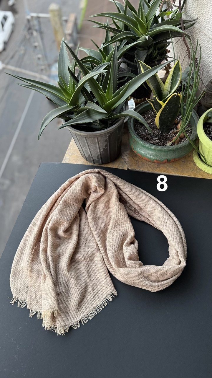 photo_1_2025-11-10_16-49-56