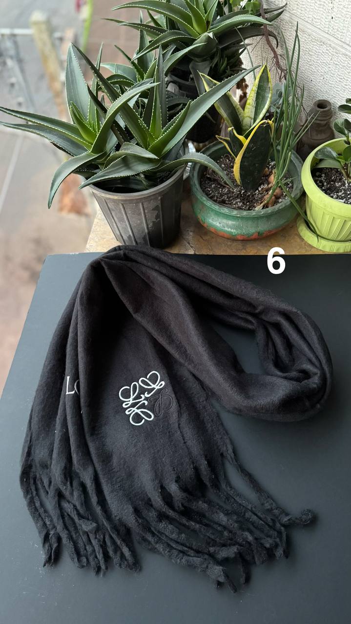 photo_1_2025-11-13_17-38-23