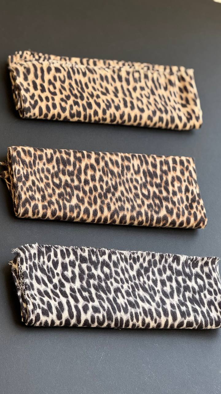 photo_1_2025-11-20_03-43-36