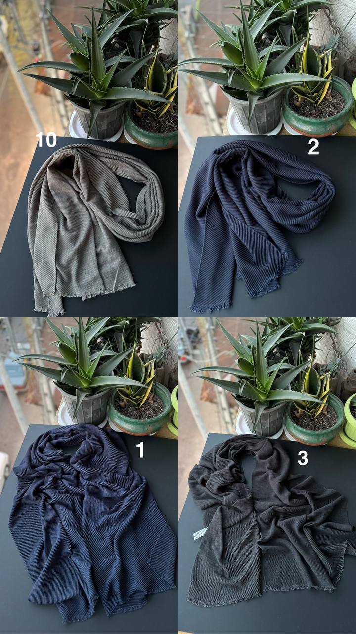 photo_1_2025-11-25_06-51-36