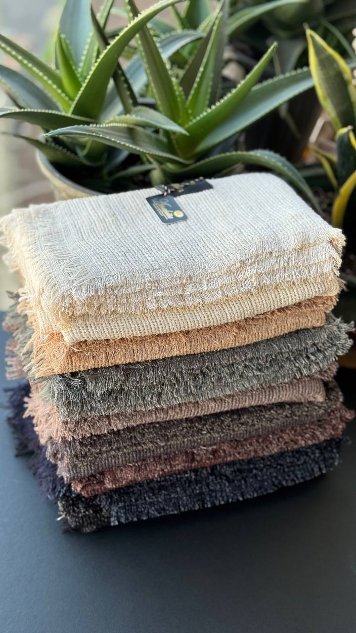 photo_20_2025-11-07_15-21-19