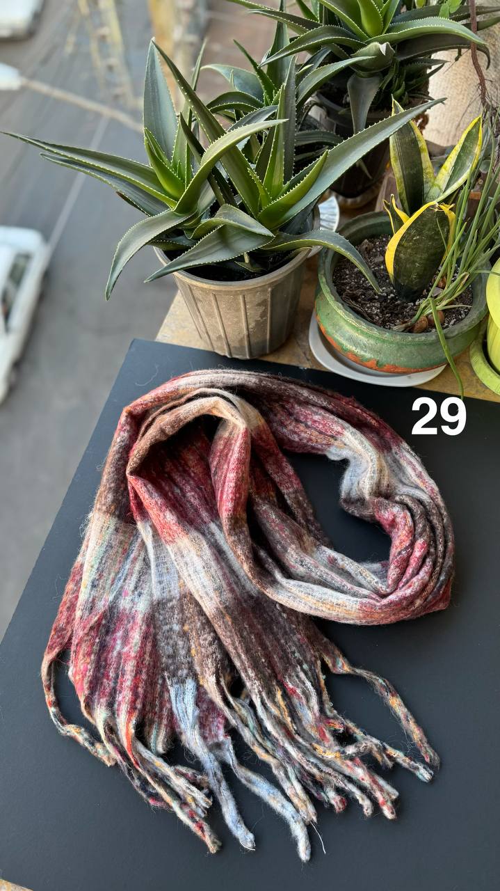 photo_20_2025-11-19_16-44-23