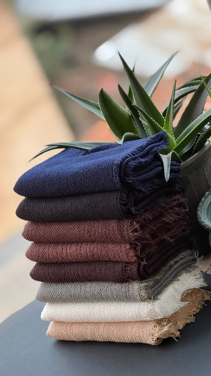 photo_21_2025-11-10_16-39-42