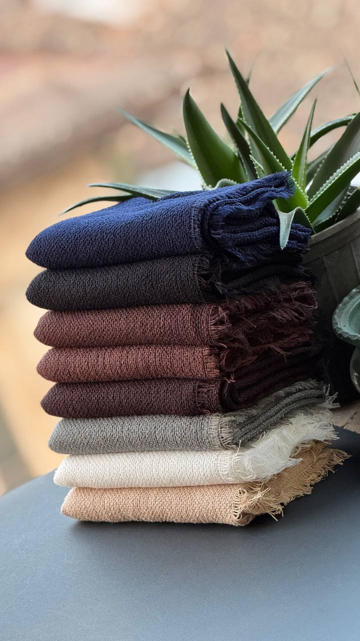 photo_22_2025-11-10_16-39-42