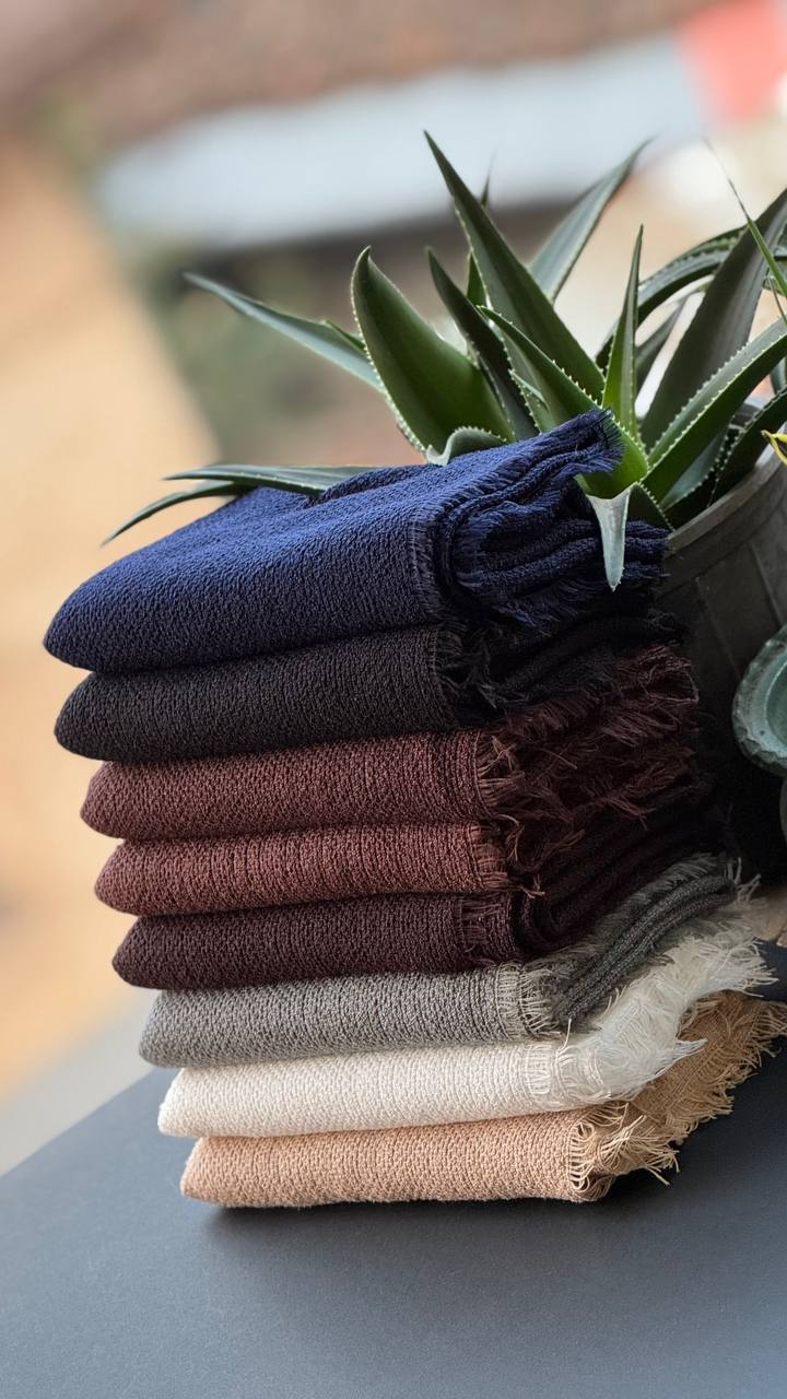 photo_23_2025-11-10_16-39-42