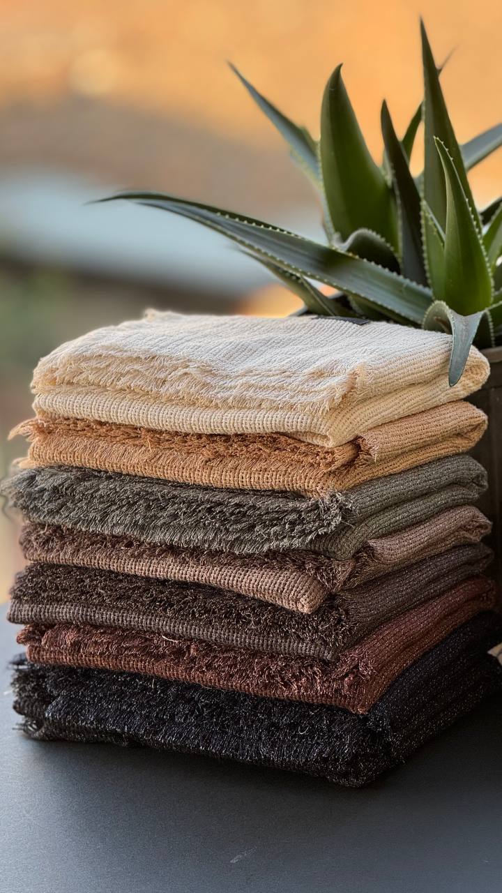 photo_24_2025-11-07_15-21-19