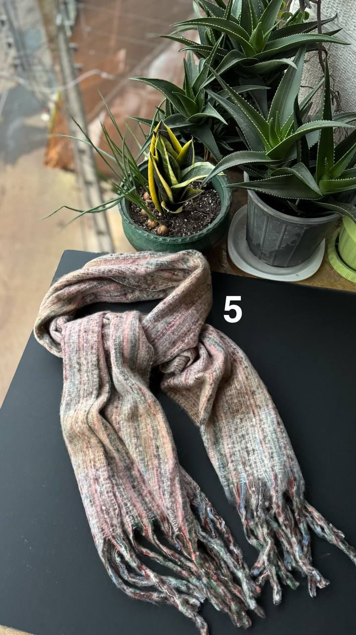 photo_2_2025-11-01_13-50-43