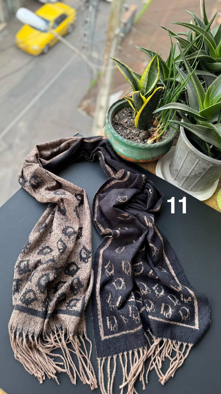 photo_2_2025-11-06_14-08-40