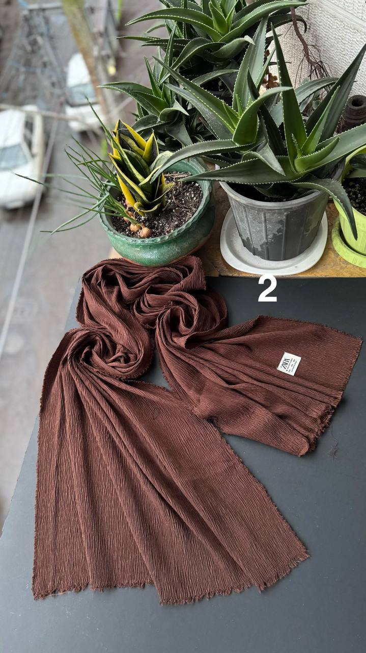 photo_2_2025-11-09_04-23-59