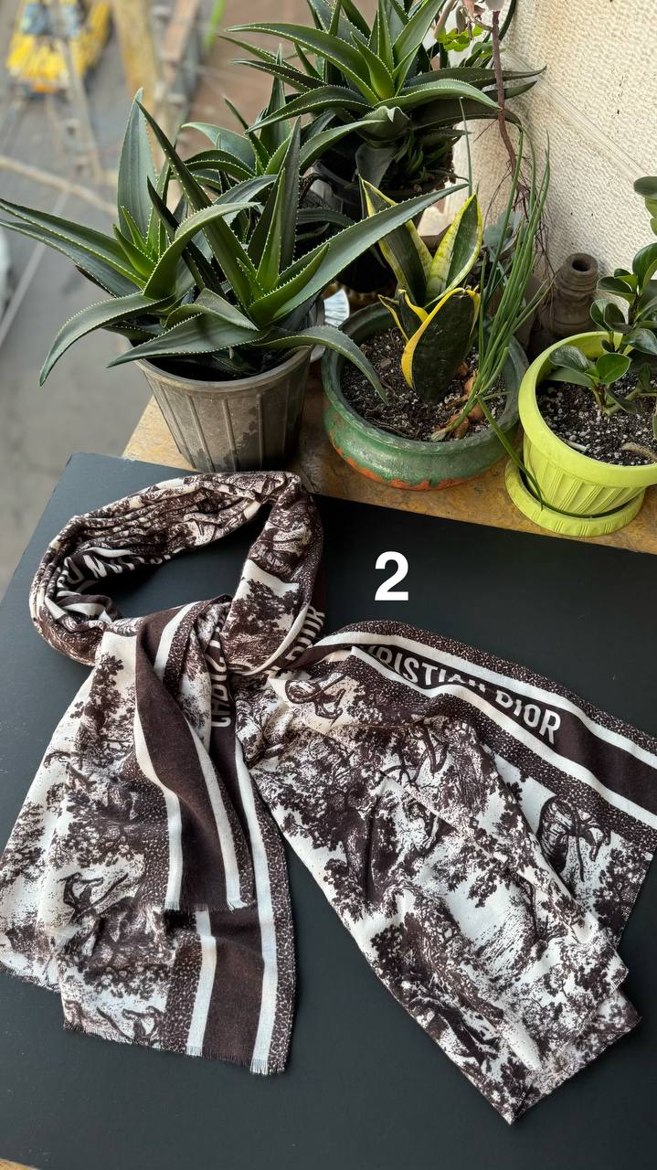 photo_2_2025-11-09_16-30-57