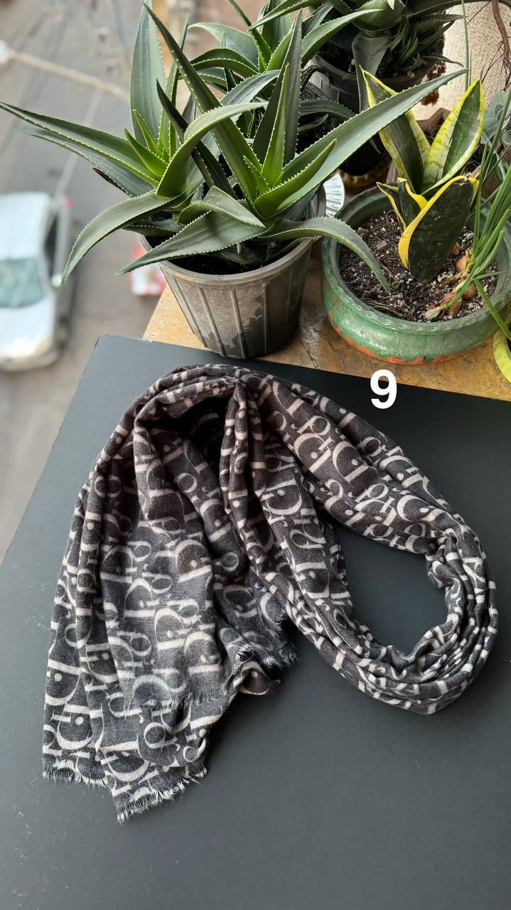 photo_2_2025-11-10_02-46-49