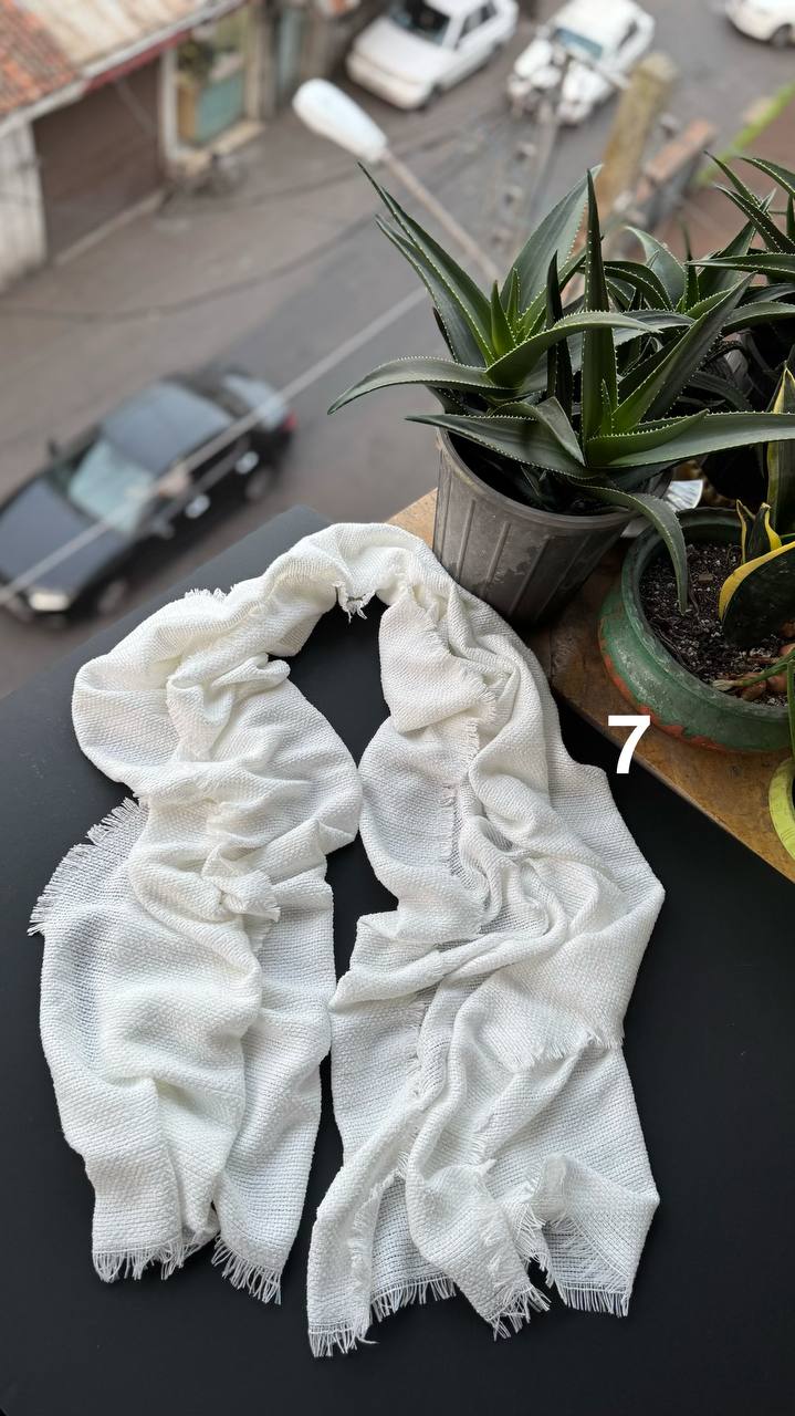 photo_2_2025-11-10_16-39-42