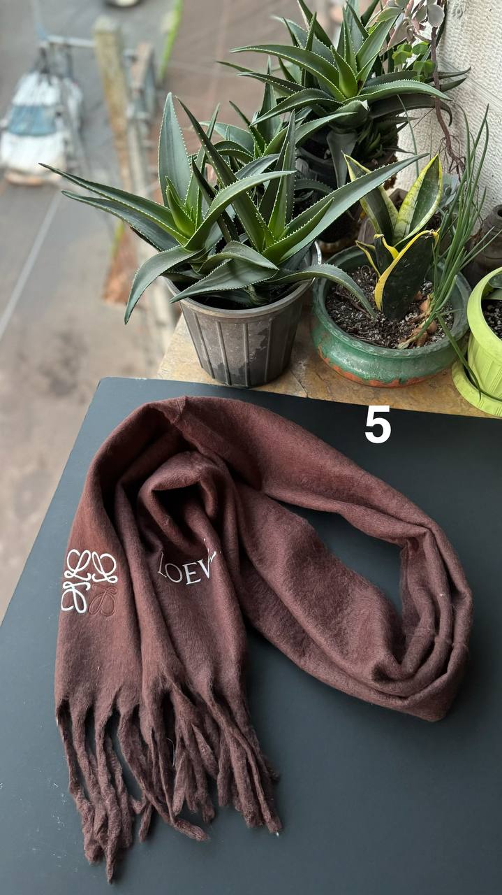 photo_2_2025-11-13_17-38-23