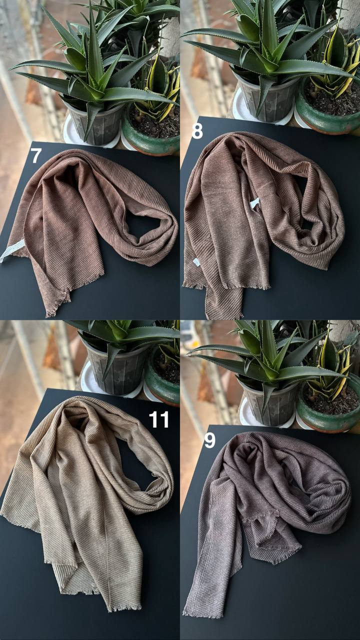 photo_2_2025-11-25_06-51-36