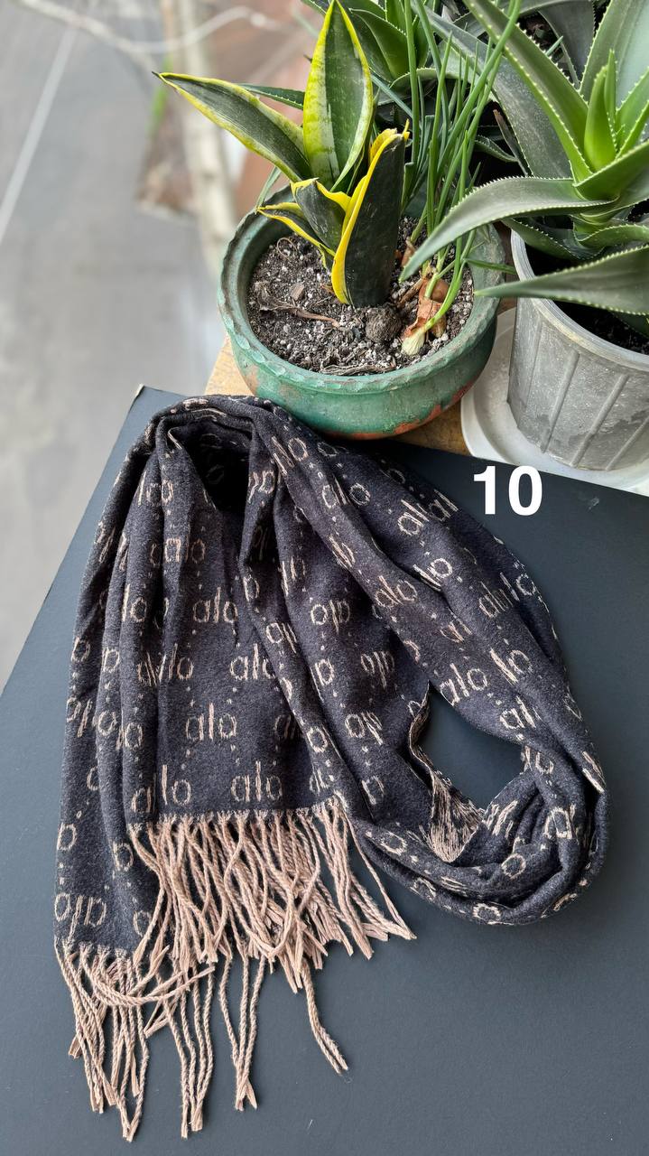 photo_3_2025-11-06_14-08-40