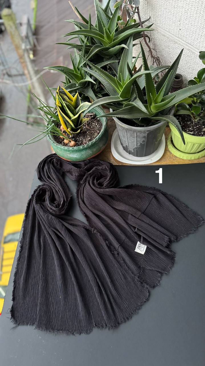 photo_3_2025-11-09_04-23-59