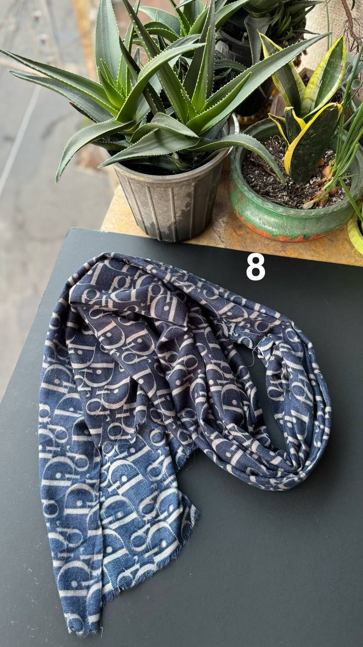 photo_3_2025-11-10_02-46-49