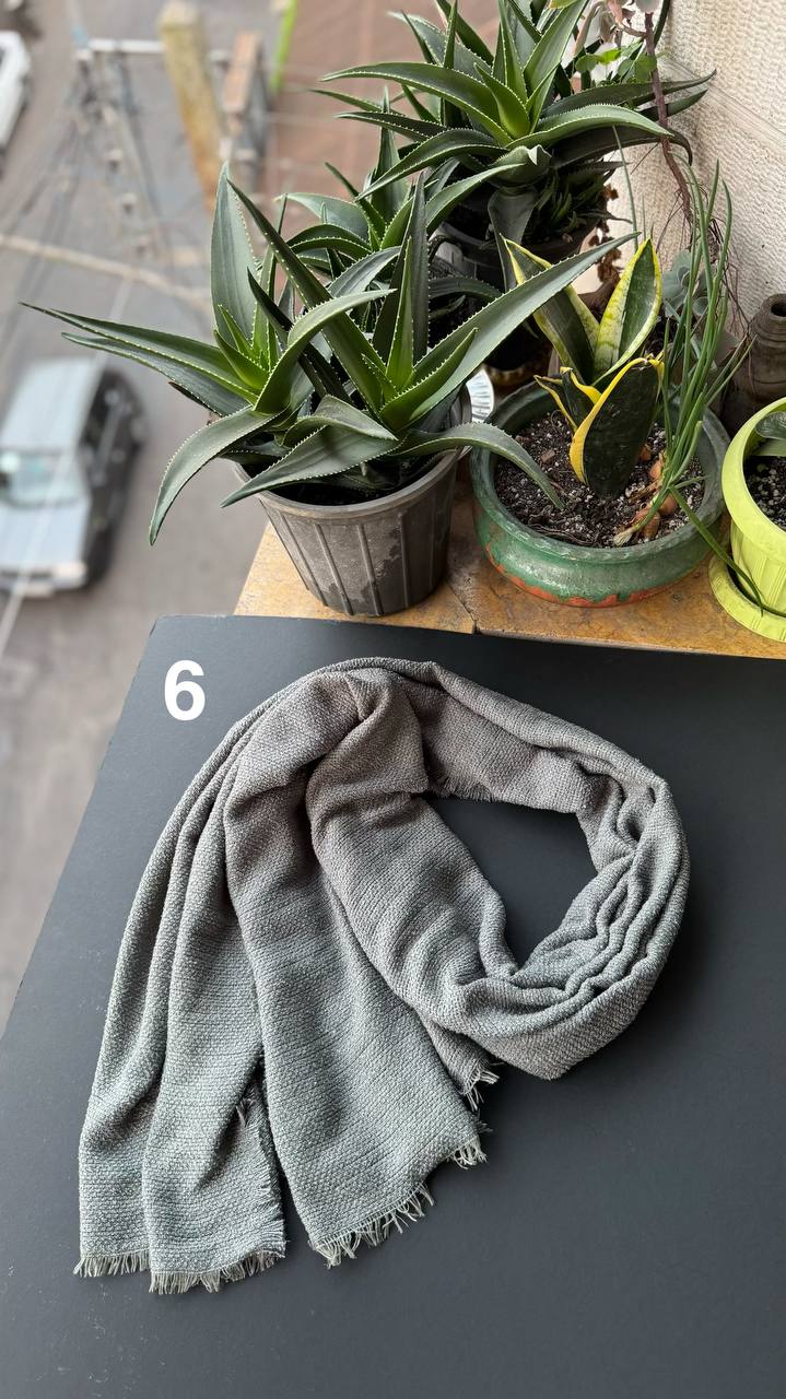 photo_3_2025-11-10_16-39-42