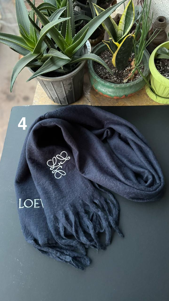 photo_3_2025-11-13_17-38-23