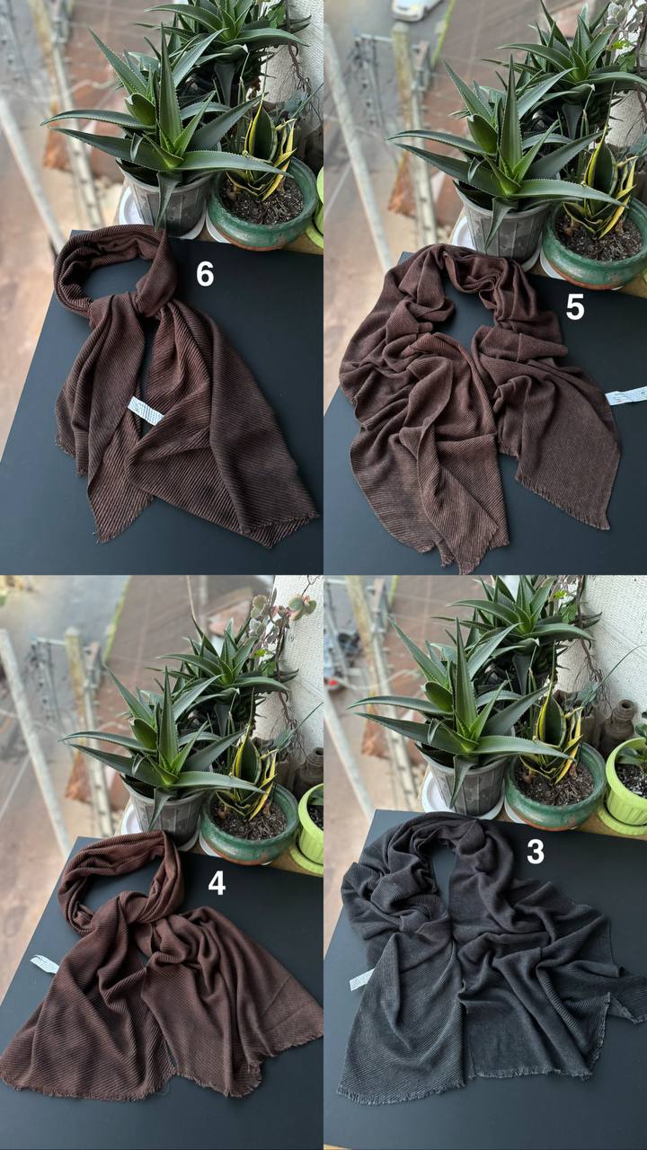 photo_3_2025-11-25_06-51-36