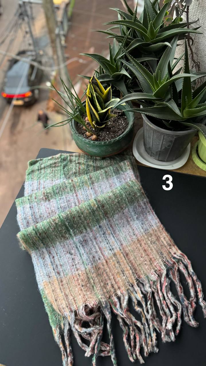 photo_4_2025-11-01_13-50-43